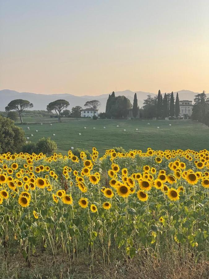 Casa Le Rondini Toscana Bucine Екстериор снимка